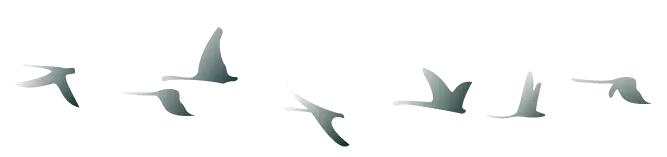 中秋佳節(jié) ▎有態(tài)度、有溫度， 一份堅(jiān)守是最誠摯的祝福！